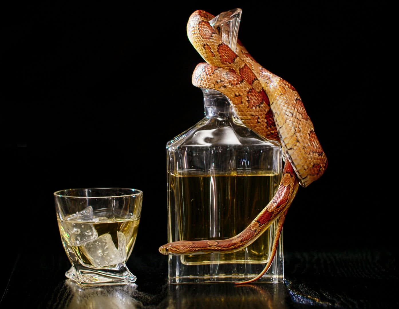 Werbefilm_Whiskey_Schlange