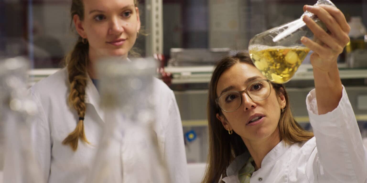 Ingrain Imagefilm_0016 Large Ingrain Imagefilm_0016 Large